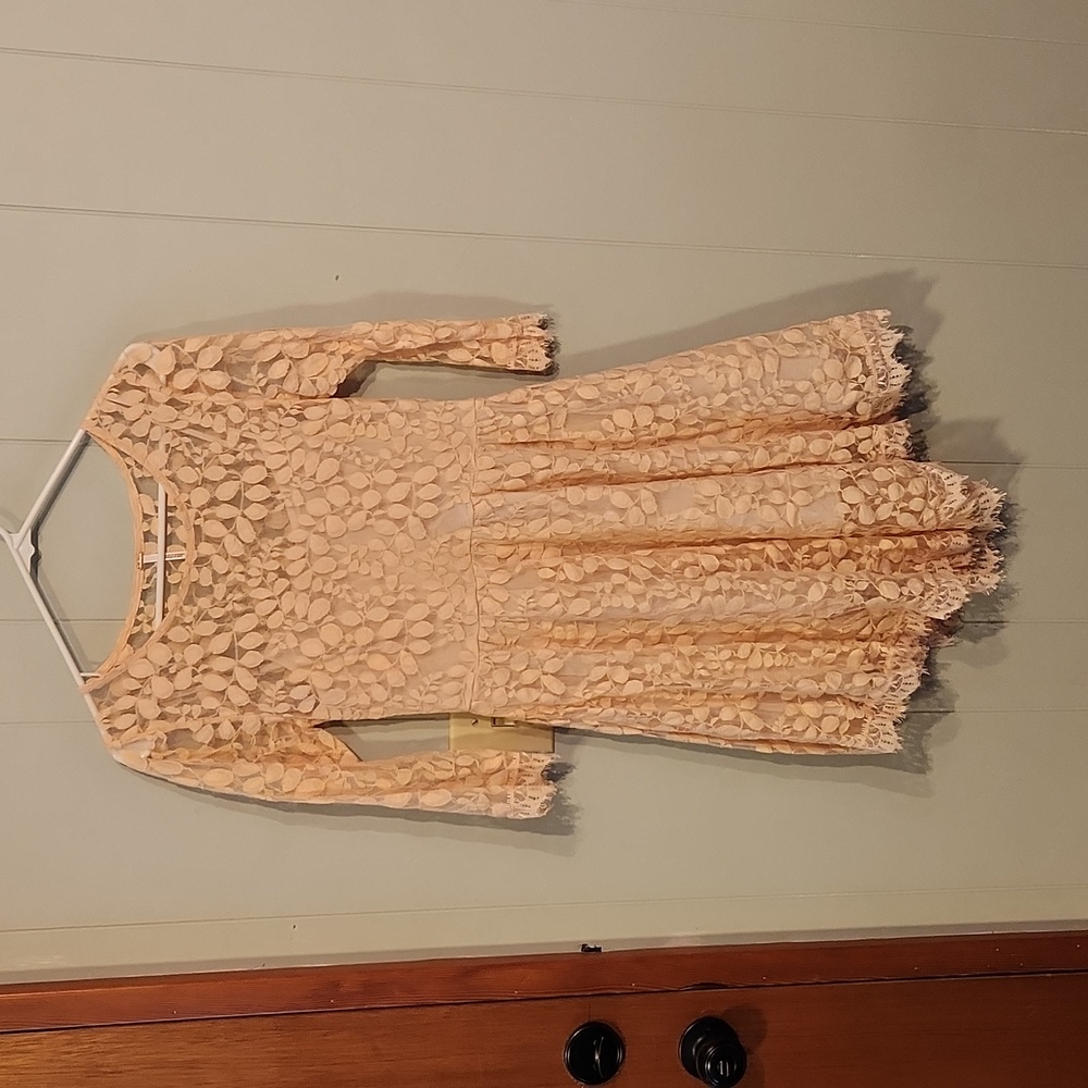 Free People Lace Lined Dress
